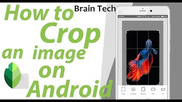 How To Crop Photo Using Any Android Phone