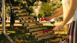 Harmony T-Rung Outdoor Xylophone from Percussion Play
