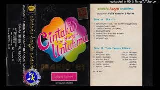 Mario 81 Cintaku hanya untukmu