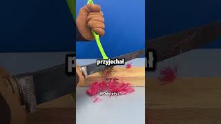 🔧 Podłączył kable odwrotnie