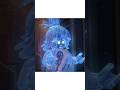 This Theory In LEGO NINJAGO is Going Unnoticed? #lego #ninjago