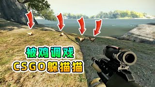 CSGO躲猫猫这么多鸡肯定有假的吧太欢乐了