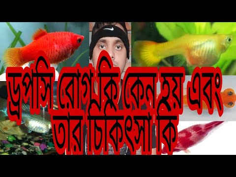 ভিডিও: কীভাবে বেঞ্জামিনের ফিকাসের যত্ন নেওয়া যায়