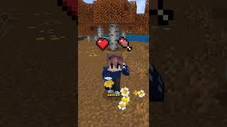 java saturation and regeneration #minecraft #bedrock