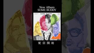 SOME BUDDY 礼賛　CD 3枚