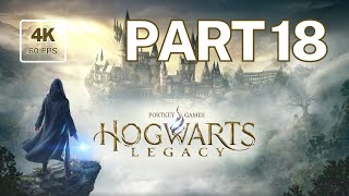 Hogwarts Legacy: Enchanting Next-Gen Adventure 4K@60 [No Commentary] - Part 18