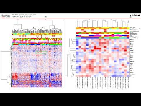 NG-CHM Tutorial: Basic Navigation Controls .