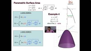 Surface Area of a Parametric Function Wealth
