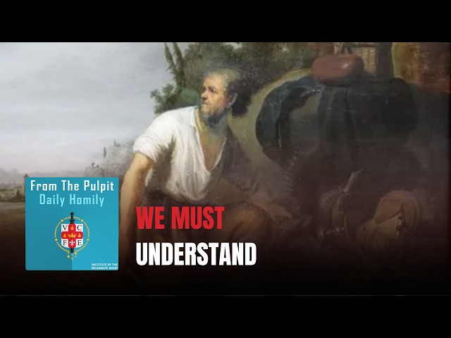 Daily IVE Homilies, July 26th, 2026 - We Must Understand