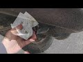 Middle of video
