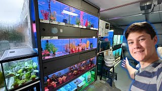 ALL My Tanks! // Fishroom Tour December!