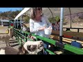 Middle of video