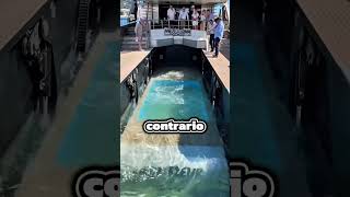 Come Riempiono Le Piscine Sugli Yacht? , E On Tt