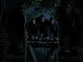 The Human Record | Human History Million years ago life | The Original Social Network #homoerectus