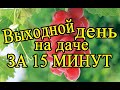 Выходной день на даче за 15 минут - строю Г-образные теплицы для винограда