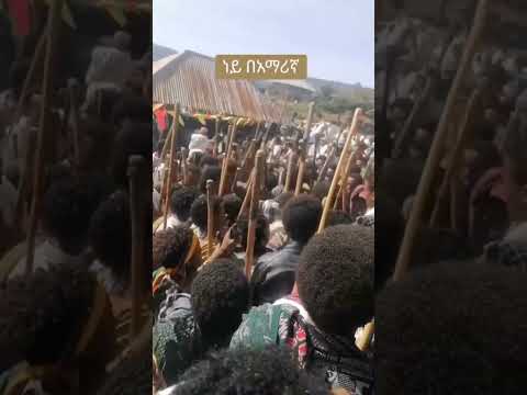 ነይ በአማርኝ የአርሶአደርጭፈራ የአማራውገበሬ