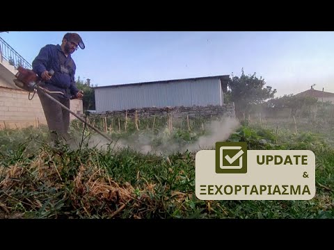 Γρήγορο Update και