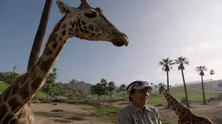 Celebrating Wildlife Care Specialists by San Diego Zoo 21,181 views 8 months ago 1 minute, 46 seconds