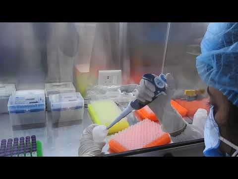 Genes2Me Diagnostic Site Visit - video from Genes2me