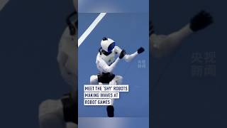 Meet the ‘shy’ robots making waves at Robot Games