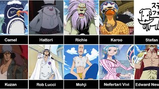 All Pets in One Piece and their Owners