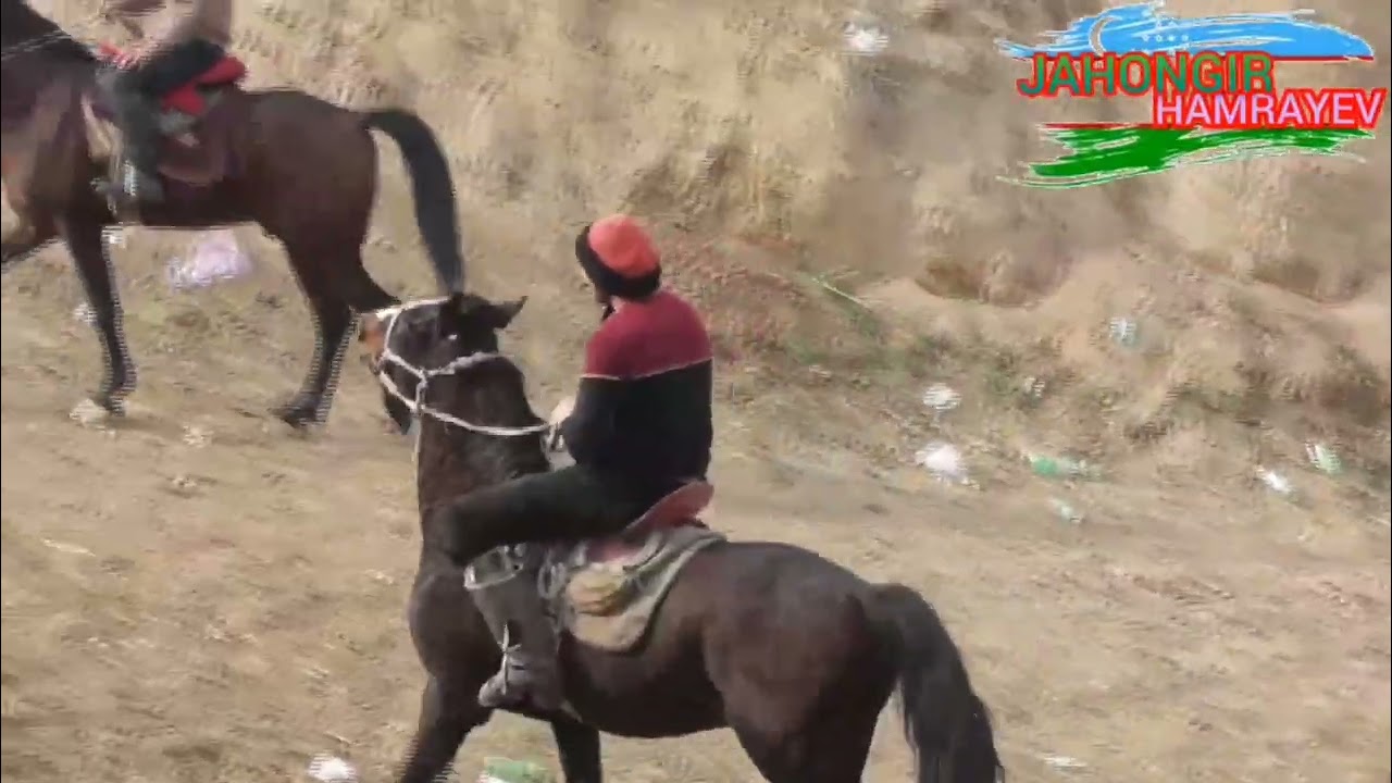 URGUT BESHKAPA Hurom Hoji polvandi 1 kunlik maralari