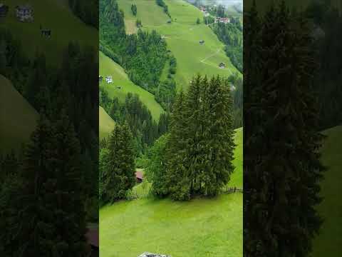 واسبغ عليكم نعمة ماهر المعيقلي