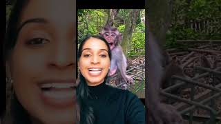 Woman tries to sue monkeys | 7 SINS CRIME