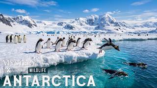 Extreme Antarctica | What Happens When You Face Antarctica’s Most Brutal Whiteouts | 4K Documentary