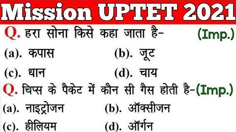 UPTET 2021 || Junior Super TET EVS Most Important Questions || Super TET