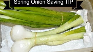 Wanna make your green onions last longer? watch
https://www./watch?v=d4buz9xcgog to learn how save spring onion. as a
matter of fact you can al...