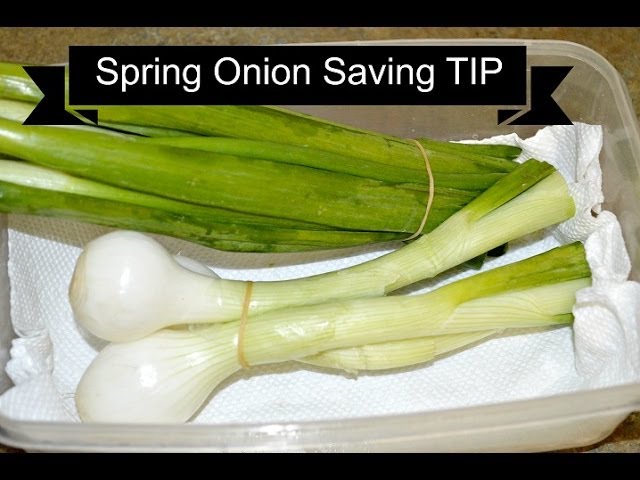 Spring onion saving tip. How to store Spring green Onion by Chawla