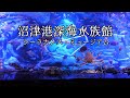 [4K] 沼津港深海水族館「シーラカンス・ミュージアム」