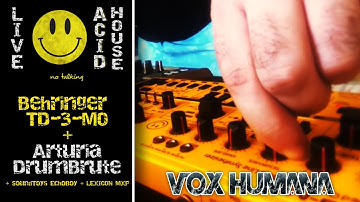 Live Acid House Jam (No Talking) : Behringer TD-3-MO and Arturia DrumBrute