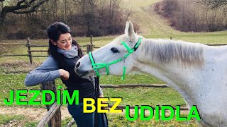 Jak jsem začala jezdit bez udidla 🏇 Z páky přes stihlo a parelku k bezudidlové uzdečce | VLOG