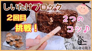 ２回目に挑戦！失敗しない♪２つのコツ【しいたけ栽培キット】