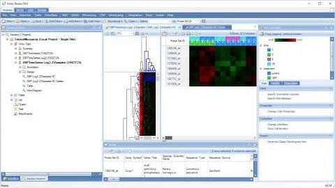 Microarray Hierarchical Clustering