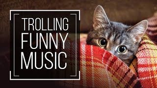 Funny Background Music | Funny Music For Awkward Comedy | Royalty Free