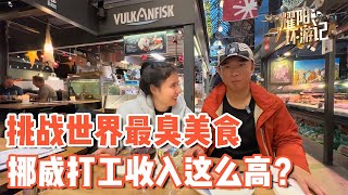 【ENG SUB】挑战世界上最臭的“美食”，没想到在挪威打工收入这么“夸张”【耀阳环游记】