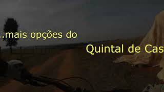 e mais opcoes no Quintal de Casa