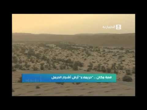 قصة مكان حريملاء أرض أشجار الحرمل