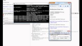 Websocket-sharp in net.2.0