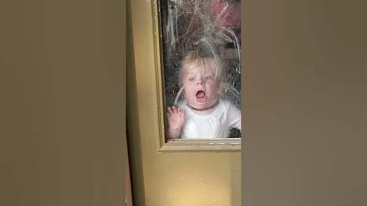 My little window licker