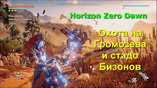 Horizon Zero Dawn.  Охота на Громозева и стадо Бизонов.