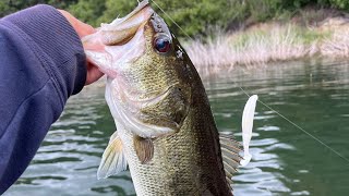 BASS FISHING IN RAINY WEATHER AT LAKE CASITAS.