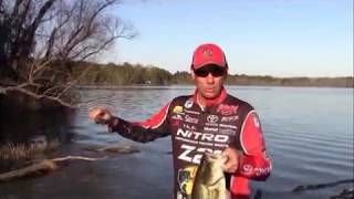 KVD: Don't Forget Buzzbaits!