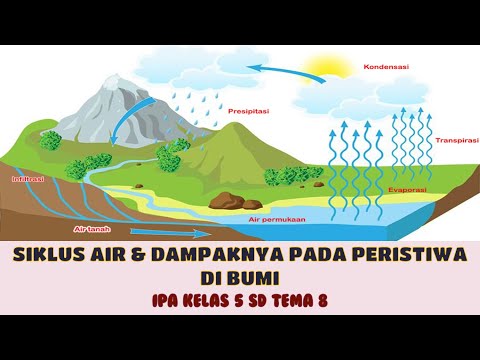 Video: Apa karakteristik air yang menjadikannya zat penting di bumi?