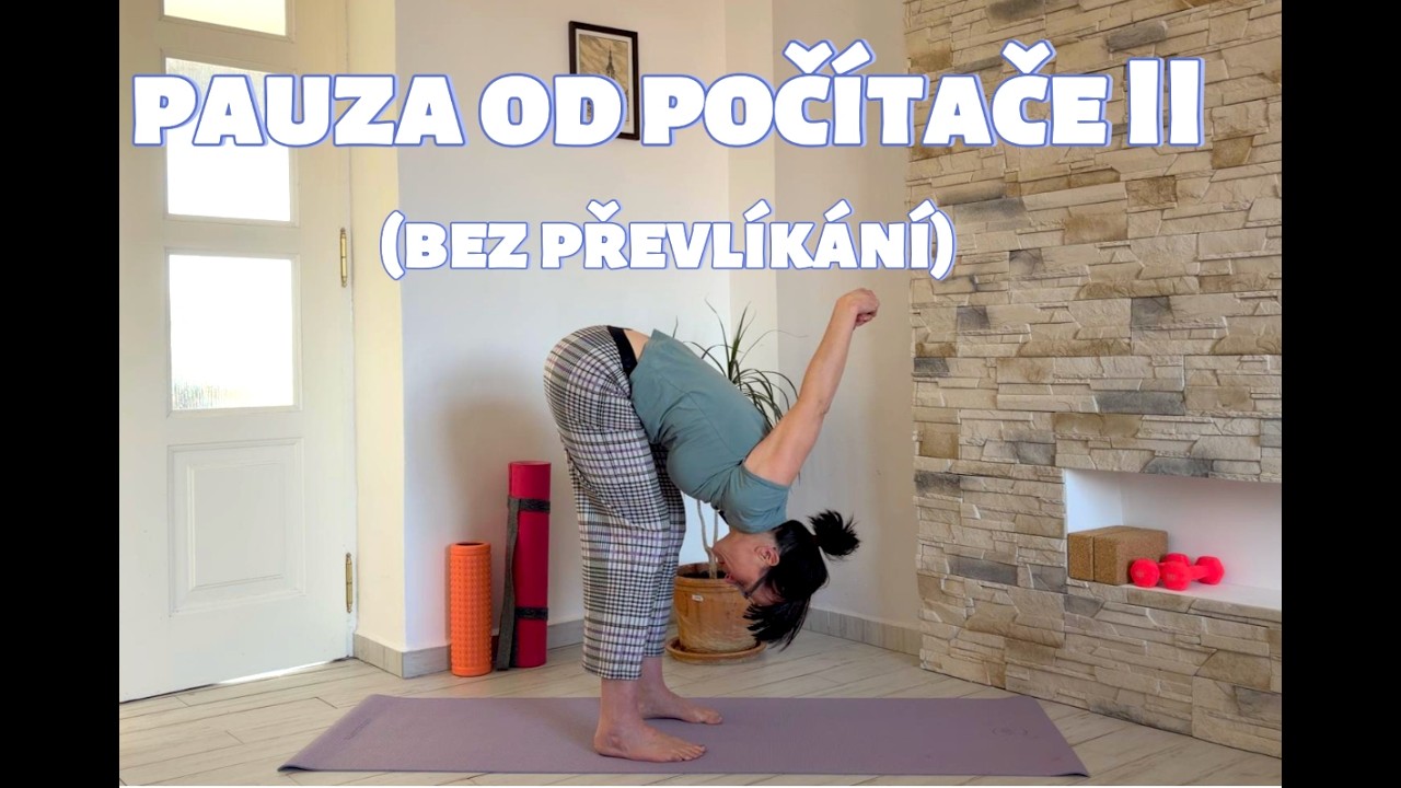 Pauza od počítače II