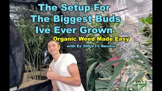 How I Setup my Grow Room for the Biggest Buds Ive Ever Grown and Es300 V3 LED Grow Light Review