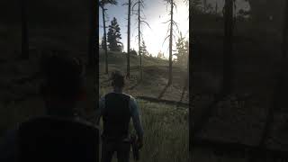 #rdr2 #rdr2online #rdr2playthrough #rdr2trailer #rdr2soundtrack #rdr2rp #rdr2gameplay #rdr2edit